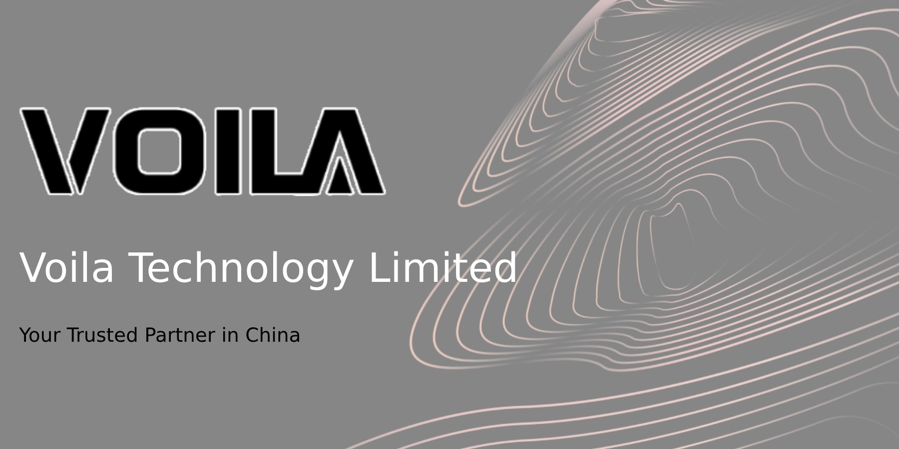 About Voila Technology Limited